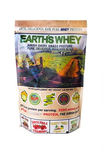 Amish Earth's Whey Protein & FREE SAMPLES Grass Fed, Cold Processed, Raw, SUGAR FREE, GMO &...