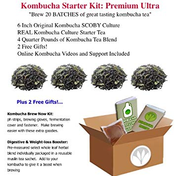 getkombucha, KOMBUCHA STARTER KIT, Make Raw Organic Kombucha Tea Starter Kit ...